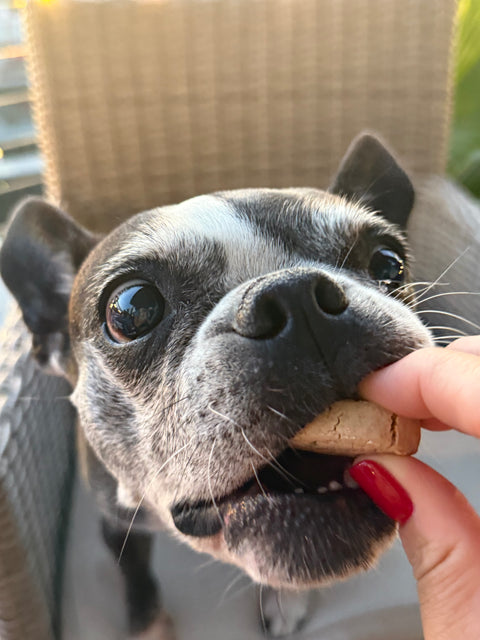 Dog Mamma’s Organic Peanut Butter Banana Dog Treats