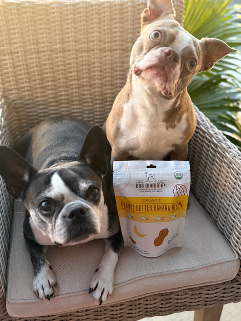 Dog Mamma’s Organic Peanut Butter Banana Dog Treats