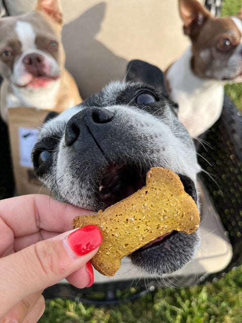 PBJ’s Apple Cinnamon Dog Treats