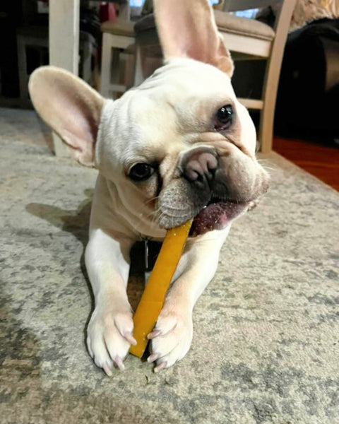 Yak Chew Cheese Medium