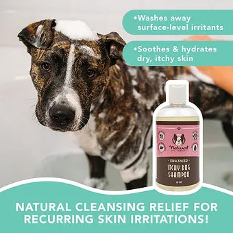 Itchy Dog Liquid Shampoo